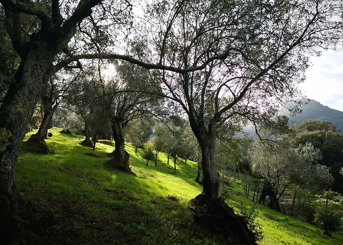 Casa Storia * Sartène