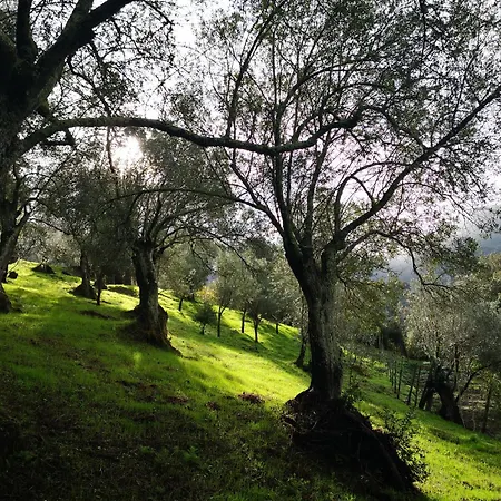 Casa Storia 4* Sartène