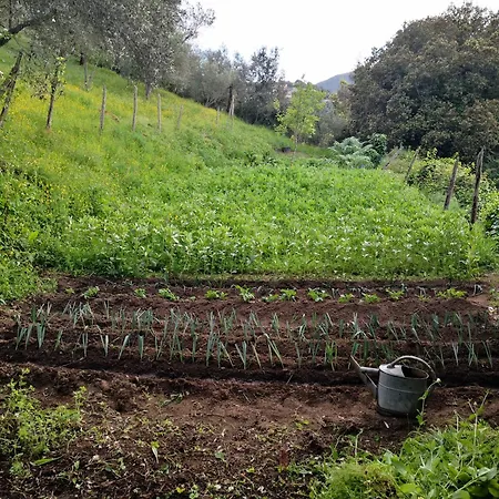 Casa Storia * Sartene (Corsica)
