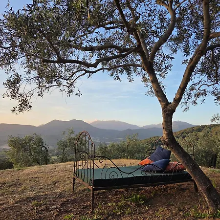 Casa Storia Bed and Breakfast 4*