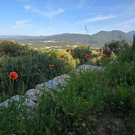 Casa Storia Bed and Breakfast Sartène