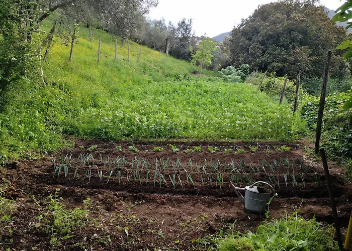 Casa Storia * Sartène